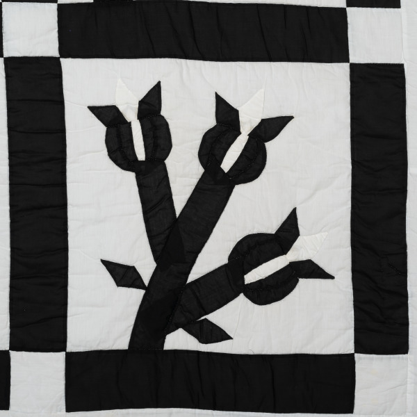 Chestnut Bud - Image 11