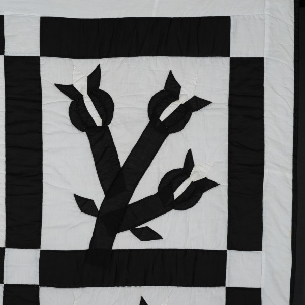 Chestnut Bud - Image 10