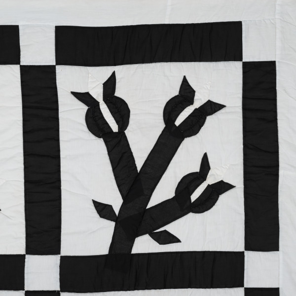 Chestnut Bud - Image 9