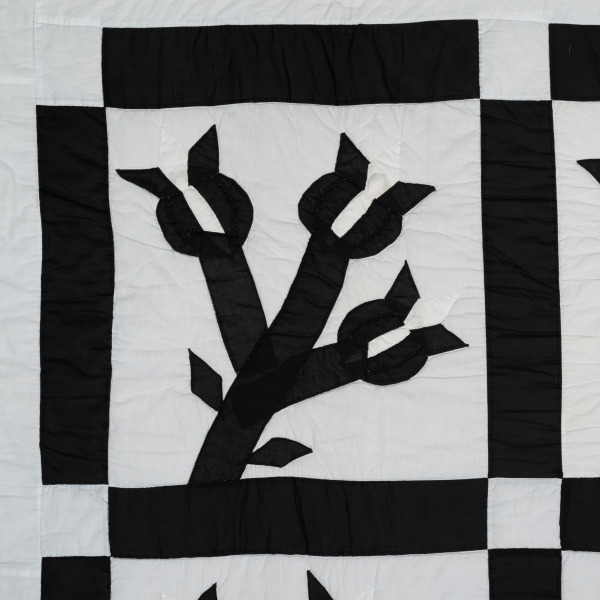 Chestnut Bud - Image 7