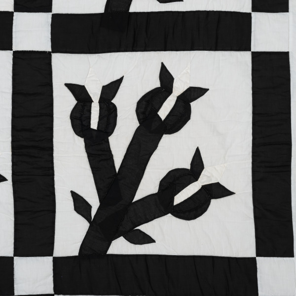 Chestnut Bud - Image 6