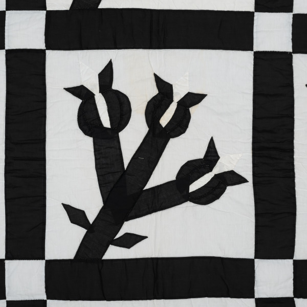 Chestnut Bud - Image 5