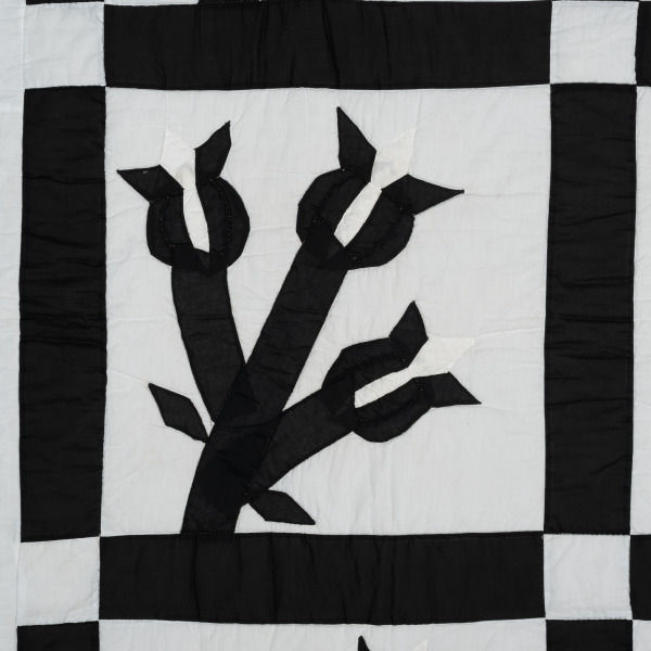 Chestnut Bud - Image 4