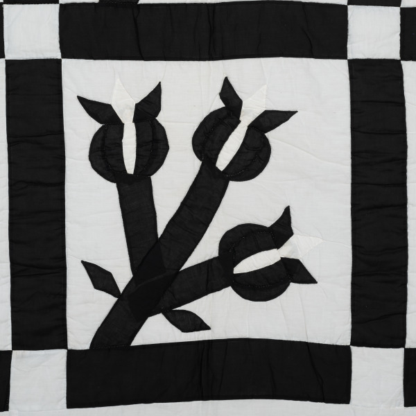 Chestnut Bud - Image 2