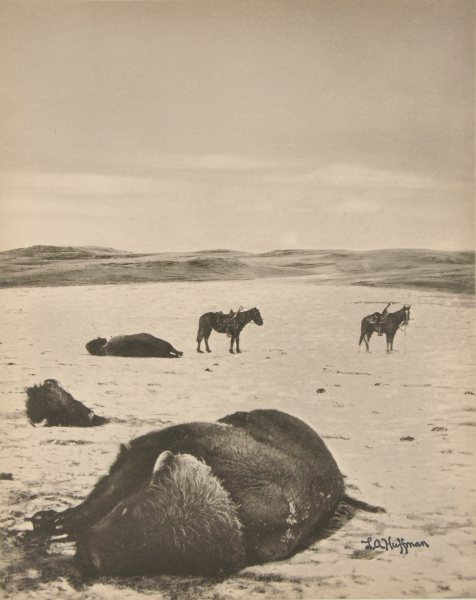 After the Chase, North Montana Range, M.T. - Image 2