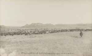 #13 Evening at the Round-Up