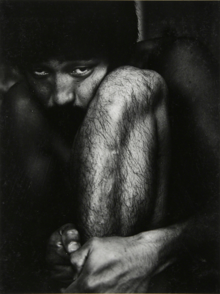 Dansk International Designs, Ltd.