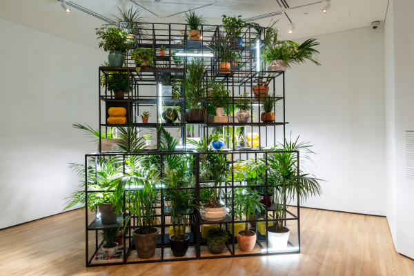 Fatherhood - Image 9