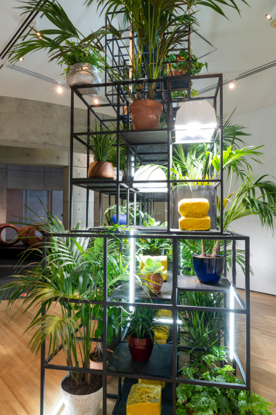 Fatherhood - Image 7