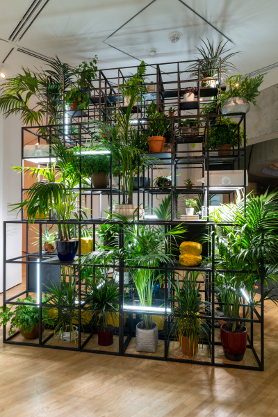 Fatherhood - Image 6