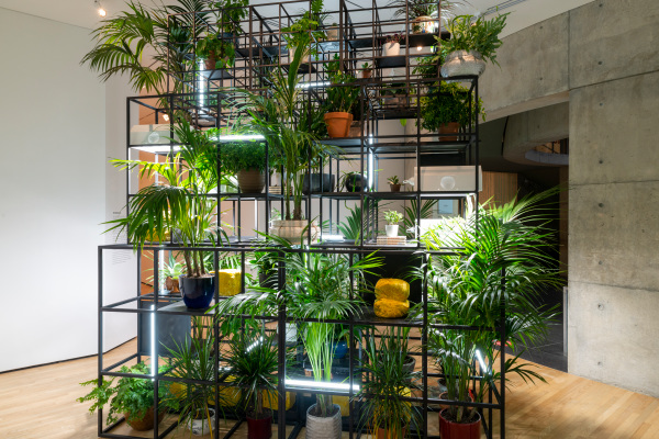 Fatherhood - Image 5