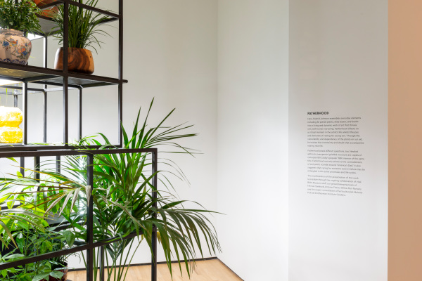 Fatherhood - Image 4