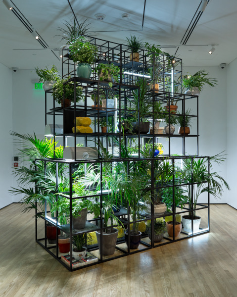 Fatherhood - Image 12