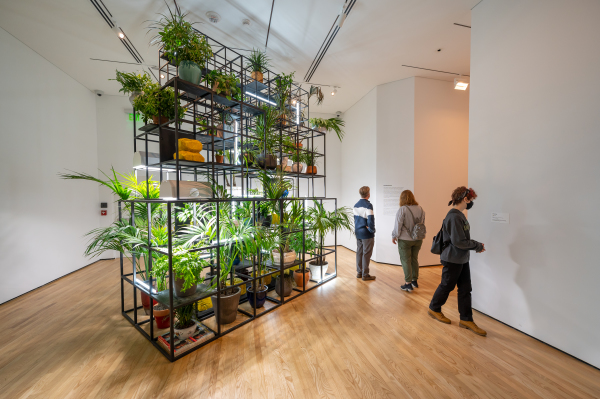 Fatherhood - Image 3