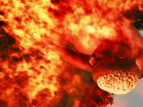 Annexation Tango - Image 53