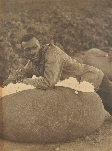 Untitled, South Carolina - Image 2