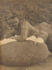 Untitled, South Carolina