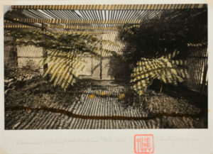 Klausner’s Garden, Santa Barbara