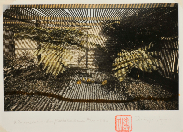 Klausner’s Garden, Santa Barbara - Image 4