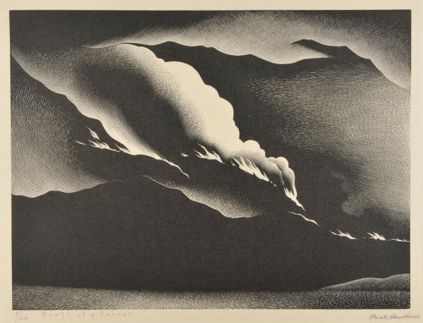 Death of a Forest - Image 3