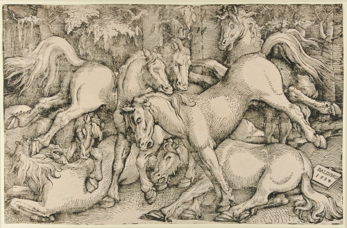 Seven Wild Horses - Image 2