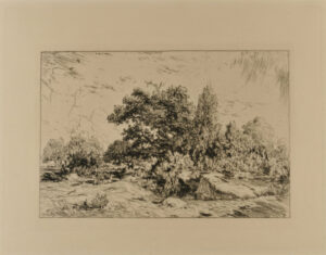 View of the Bellecroix Plateau