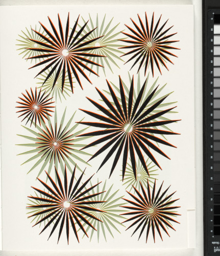 The Magic Magic Book - Image 73