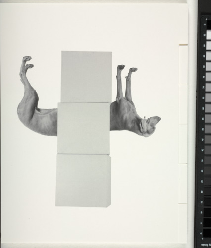 The Magic Magic Book - Image 148