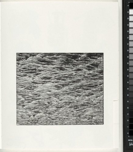 The Magic Magic Book - Image 28