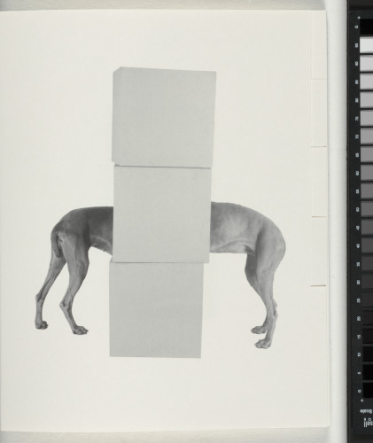 The Magic Magic Book - Image 136