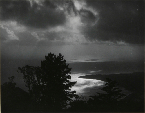 Mount Tamalpais State Park - Image 3