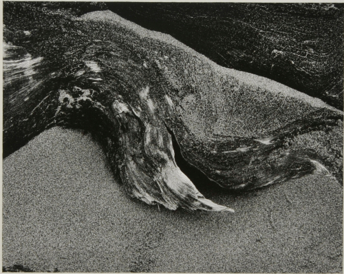 Van Damme State Park, California - Image 2