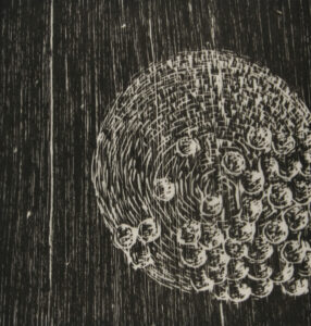 Cause I’m On My Time