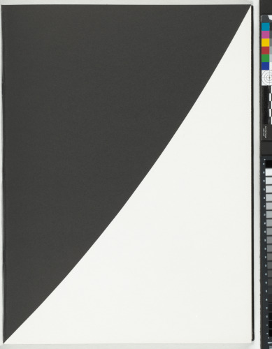 A Throw of the Dice Will Never Abolish Chance - Image 101