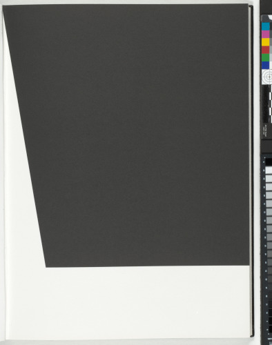 A Throw of the Dice Will Never Abolish Chance - Image 50