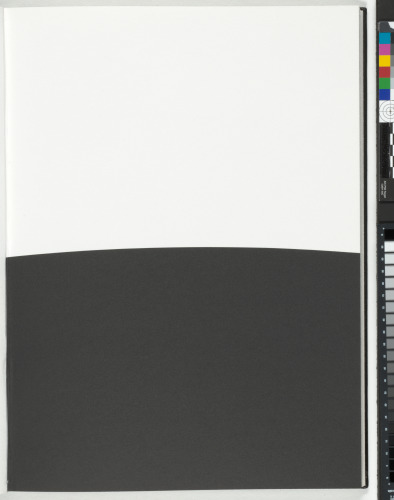 A Throw of the Dice Will Never Abolish Chance - Image 48