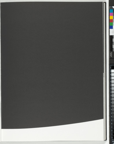 A Throw of the Dice Will Never Abolish Chance - Image 21