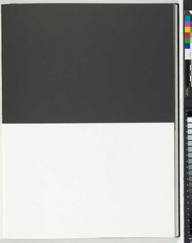 A Throw of the Dice Will Never Abolish Chance - Image 1