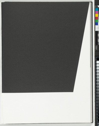 A Throw of the Dice Will Never Abolish Chance - Image 69