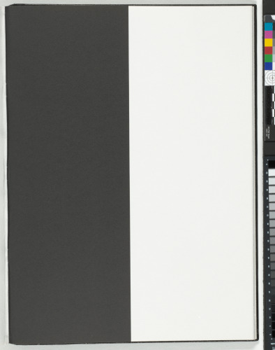 A Throw of the Dice Will Never Abolish Chance - Image 17