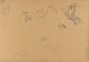 Studies of Owls and Eagles
