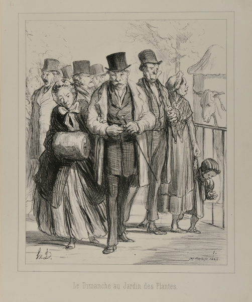 Sunday in the Botanical Gardens - Image 4