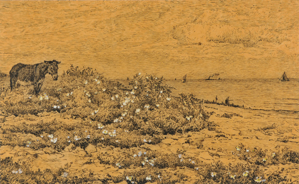 Fleurs Solitaires (Villerville) - Image 3