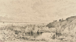 Une Mare dans la Falaise (Villerville)