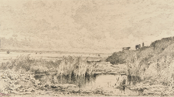 A POND AT THE CLIFFS