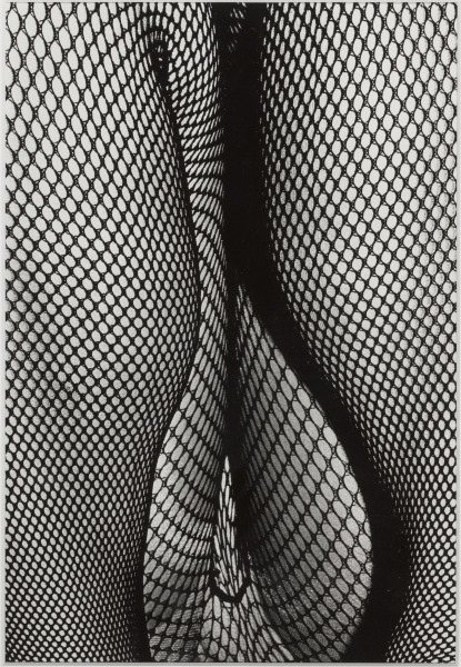 HOW TO CREATE A BEAUTIFUL PICTURE