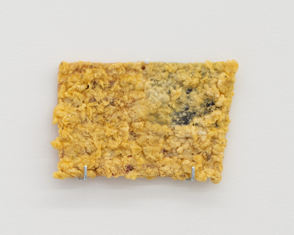 How Do You Properly Fry An American Flag (Study) - Image 2