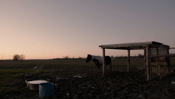 Play Me Home - Image 10