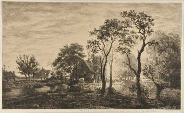 Landscape - Image 3