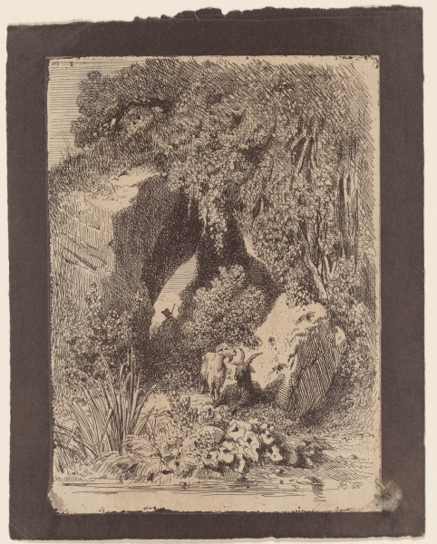 The Shepherd